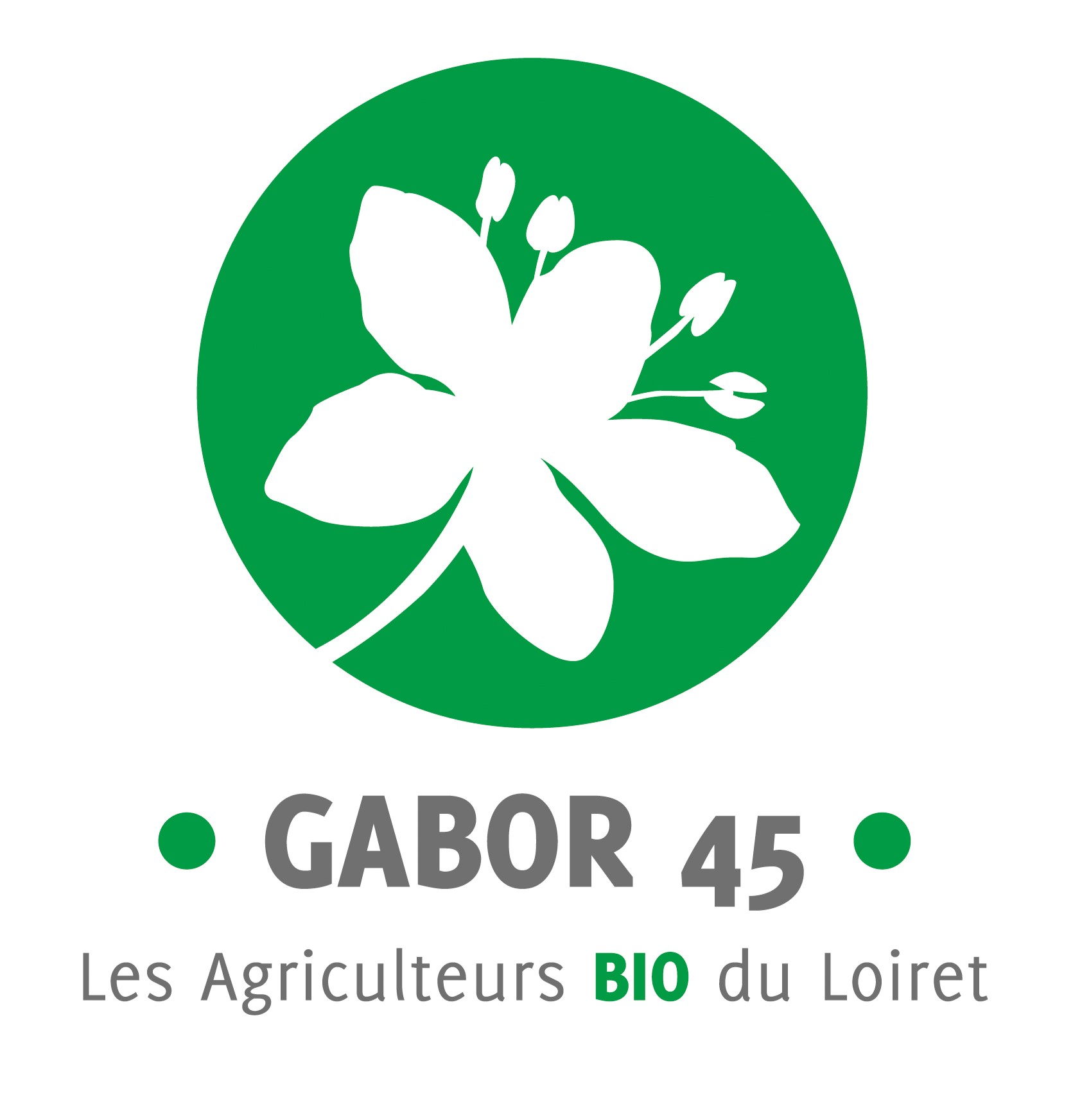 Gabor 45
