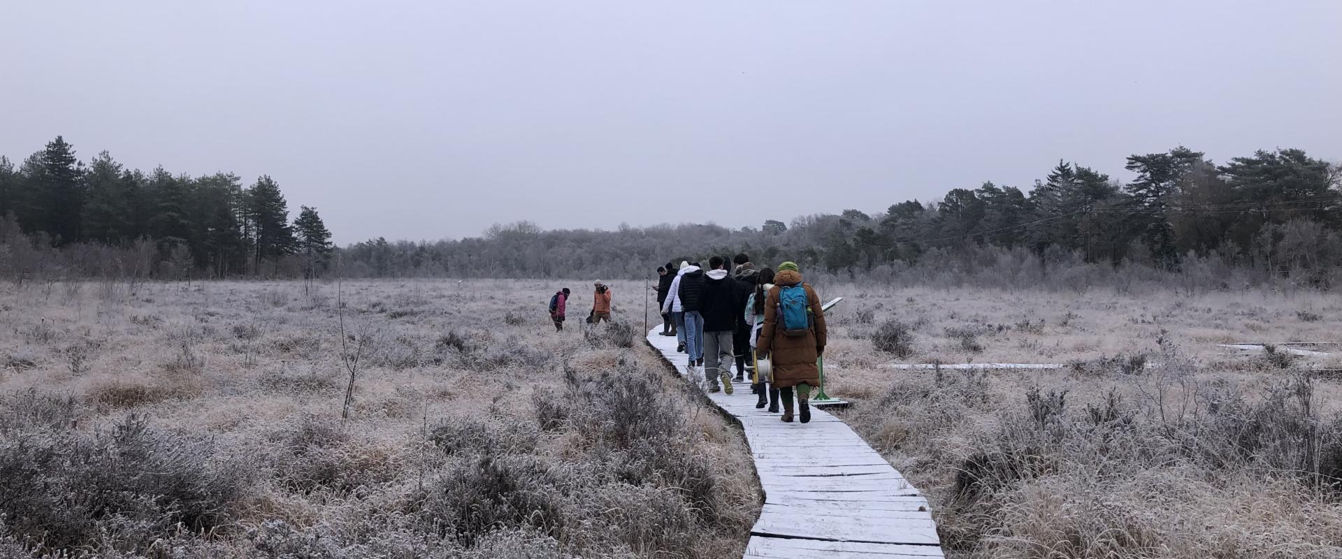 La tourbière de la Guette