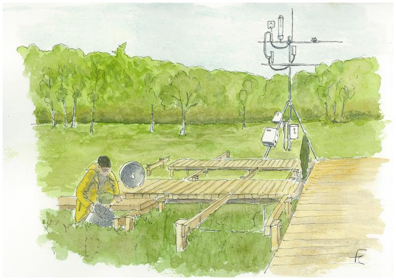 Dessin de la plateforme PESAt